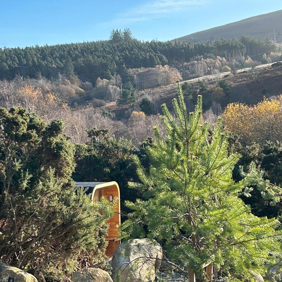 The Deerstone Luxury Eco Hideaway Villa Laragh Dış mekan fotoğraf