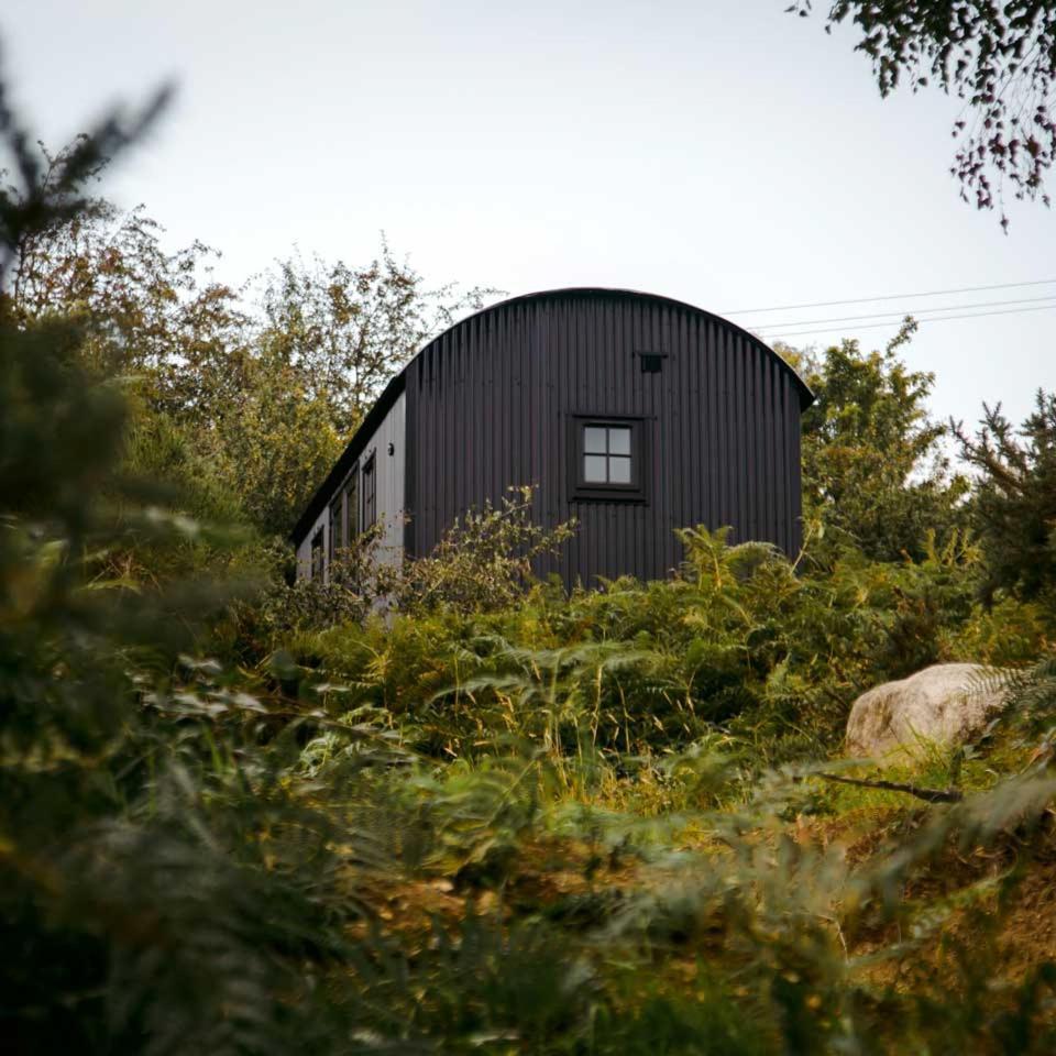 The Deerstone Luxury Eco Hideaway Villa Laragh Dış mekan fotoğraf